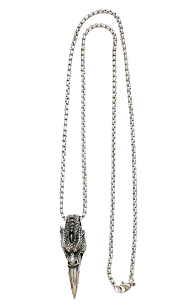 Dragon Fang Power Edelstahl Halskette mit Drachenzahn-Anhänger – 60 cm Kette